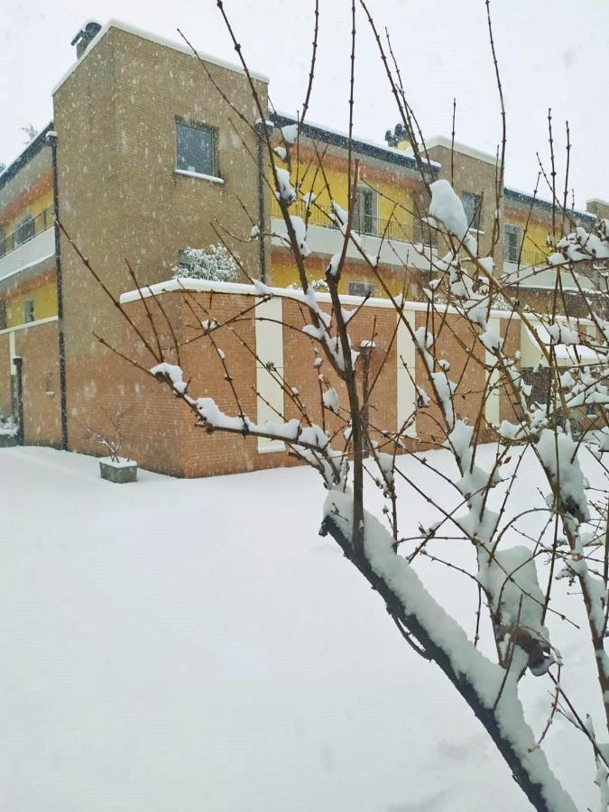 Appartamenti Alle 5 Torri Mezzolombardo Buitenkant foto